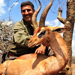 Unique Masaai Species Gerenuk