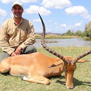 Monster Southern Impala Hunt Selous Tanzania