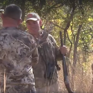 Zimbabwe Buffalo Hunt