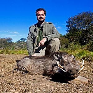 Hunting Warthog in South Africa