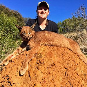 Caracal Hunt South Africa