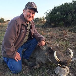 Hunting Warthog in South Africa