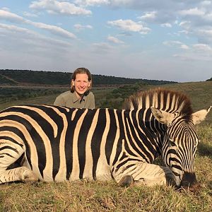 Zebra Hunt South Africa