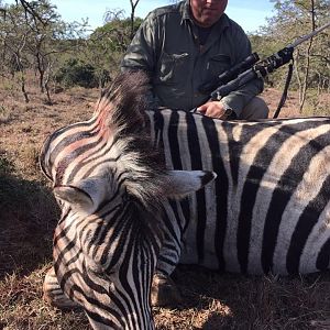 Zebra Hunt South Africa