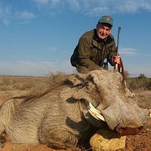 Hunting Warthog in South Africa