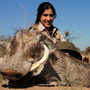 Excellent Warthog - Namibia