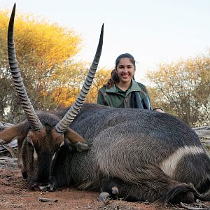 Waterbuck - Namibia