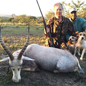 Hunt White Blesbuck South Africa