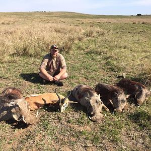 Springbuck & Warthog South Africa Hunt