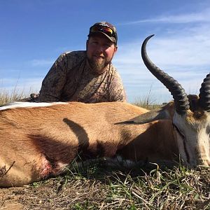 Springbuck Hunt South Africa