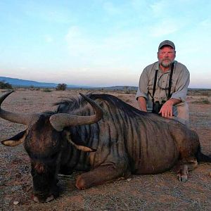 Blue Wildebeest Hunting in South Africa