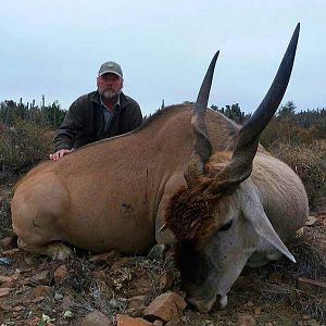 Hunting Eland South Africa