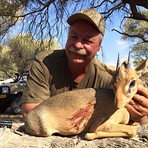 Damara Dik-Dik Hunt Namibia