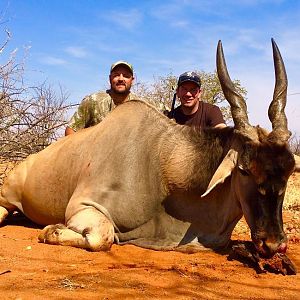 Hunting Eland Namibia