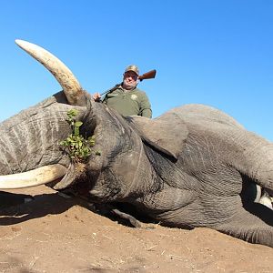 Elephant Hunting Namibia