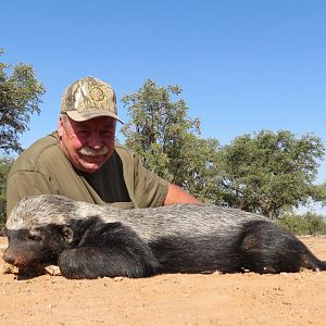 Hunting Honey Badger Namibia