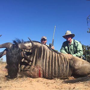 Blue Wildebeest Hunting in South Africa