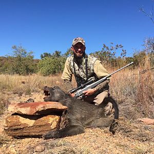 Baboon Hunt South Africa