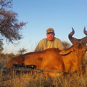 Hunting Lichtenstein Hartebeest