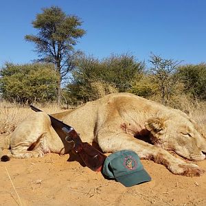 Lion Hunting South Africa