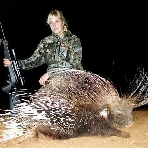 African Porcupine Hunt South Africa