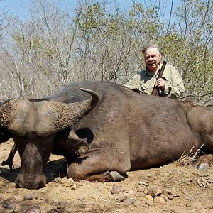 Hunting Buffalo in South Africa