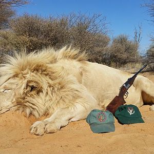 White Lion Hunt South Africa