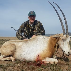 Scimitar Oryx Hunt South Africa