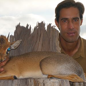 Damara Dik Dik Hunt