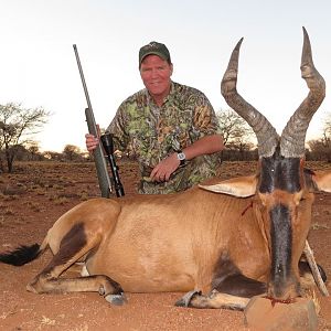 Hunting Red Hartebeest Namibia