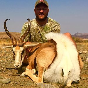 Springbuck Hunt Namibia