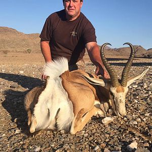 Springbuck Hunt Namibia