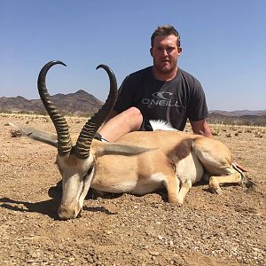 Springbuck Hunt Namibia