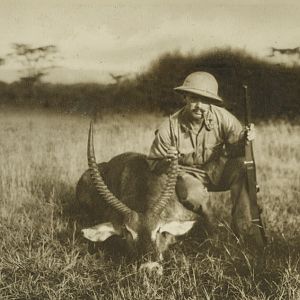 Waterbuck Hunting