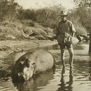 Hippo Hunt