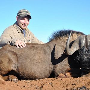 Black Wildebeest Hunting in South Africa