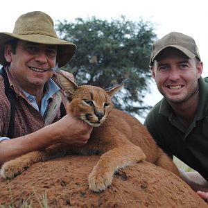 Caracal Hunt South Africa