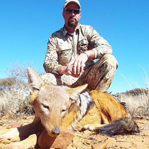 South Africa Jackal Hunt