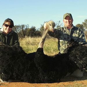 Hunting Ostrich South Africa