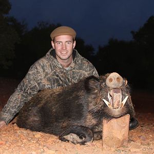 Hunting Bushpig South Africa