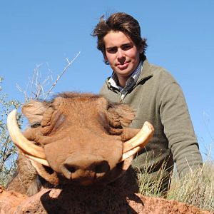 Hunting Warthog in South Africa