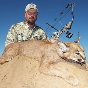 Caracal Hunt in South Africa