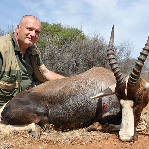 Hunt Blesbuck South Africa