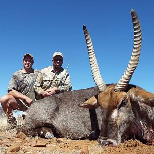 Hunting Waterbuck in South Africa