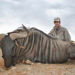 Blue Wildebeest Hunting in South Africa