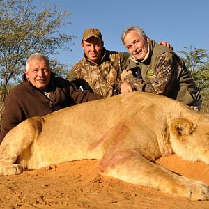 Lioness Hunt South Africa