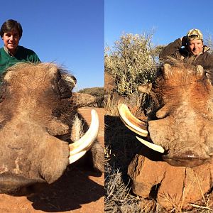 Hunting Warthog in South Africa