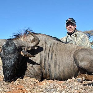 Blue Wildebeest Hunting in South Africa