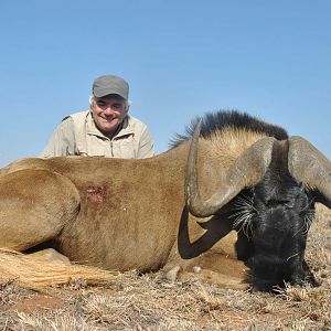 Black Wildebeest Hunting in South Africa