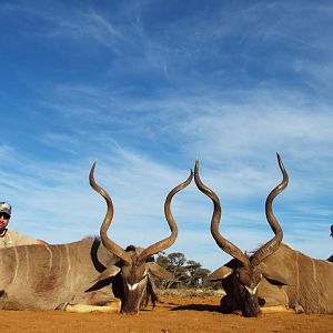 Kudu Hunt in South Africa